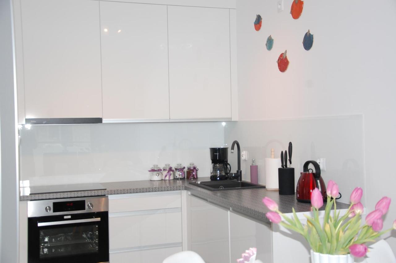 Navigator Apartment *